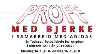 PROFF med Bjerke!